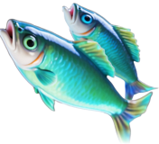 Go Fishing